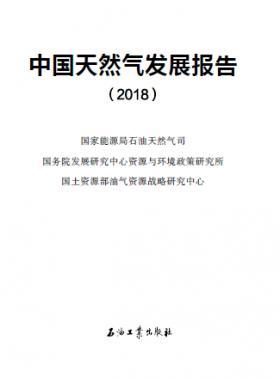 中國天然氣發展報告（2018）白皮書中英文版
