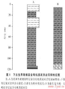 我國富含有機質泥頁巖發育特點與頁巖氣戰略選區