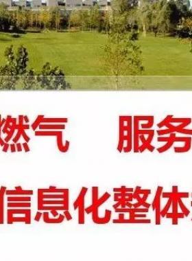 智慧燃氣:燃氣行業信息化整體規劃方案PPT