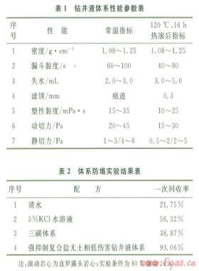長慶氣區儲氣庫超低壓儲層水平井鉆井液完井液技術
