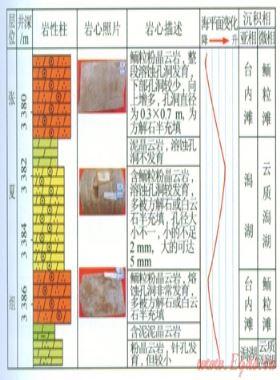鄂爾多斯盆地中寒武統張夏組沉積相特征及巖相古地理分析