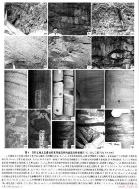 四川類前陸盆地上三疊統須家河組沉積體系