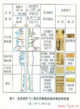 龍崗地區飛仙關組鮞粒灘微相的地震—地質綜合預測