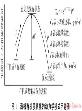 中國海相烴源巖研究進(jìn)展及面臨的挑戰(zhàn)