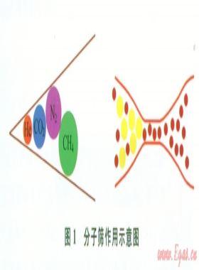 中國南方海相頁巖孔隙結構特征