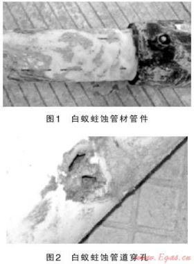 關于佛山市南海區燃氣管道安全問題的探討