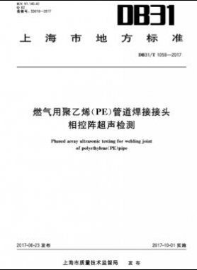 燃氣用聚乙烯（PE）管道焊接接頭相控陣超聲檢測 DB31∕T 1058-2017