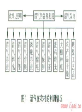 沼氣混入天然氣管網使用的可行性探討