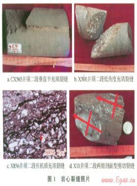 川西新場地區須家河組二段氣藏天然裂縫形成期次的確定